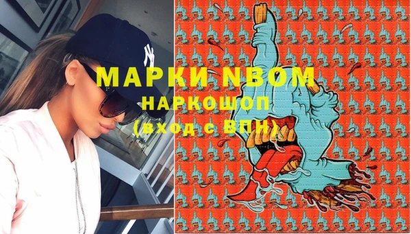 ГАЛЛЮЦИНОГЕННЫЕ ГРИБЫ Семёнов