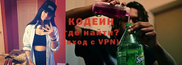 ГАЛЛЮЦИНОГЕННЫЕ ГРИБЫ Семёнов