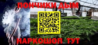 сатива Бийск
