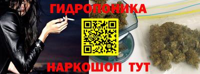 шишки Берёзовский