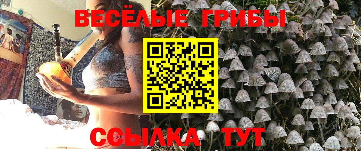 Псилоцибиновые грибы мицелий Белово