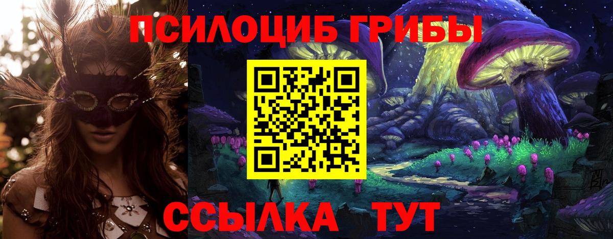 Псилоцибиновые грибы Psilocybine cubensis Белово