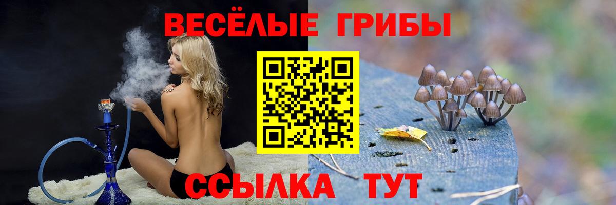 Псилоцибиновые грибы мицелий  Вход с VPN  Белово  Псилоцибиновые грибы прущие грибы 