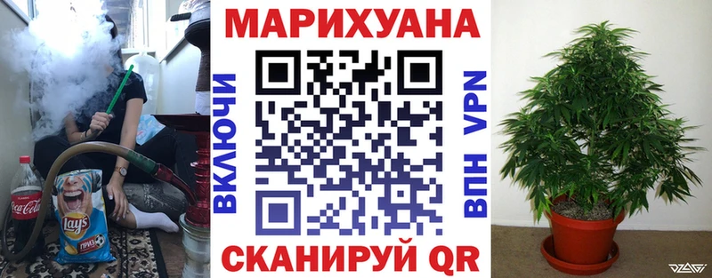 Бошки марихуана SATIVA & INDICA  продажа наркотиков  Белово 